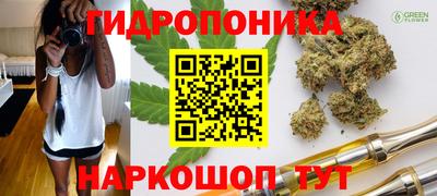 хмурый Краснодар