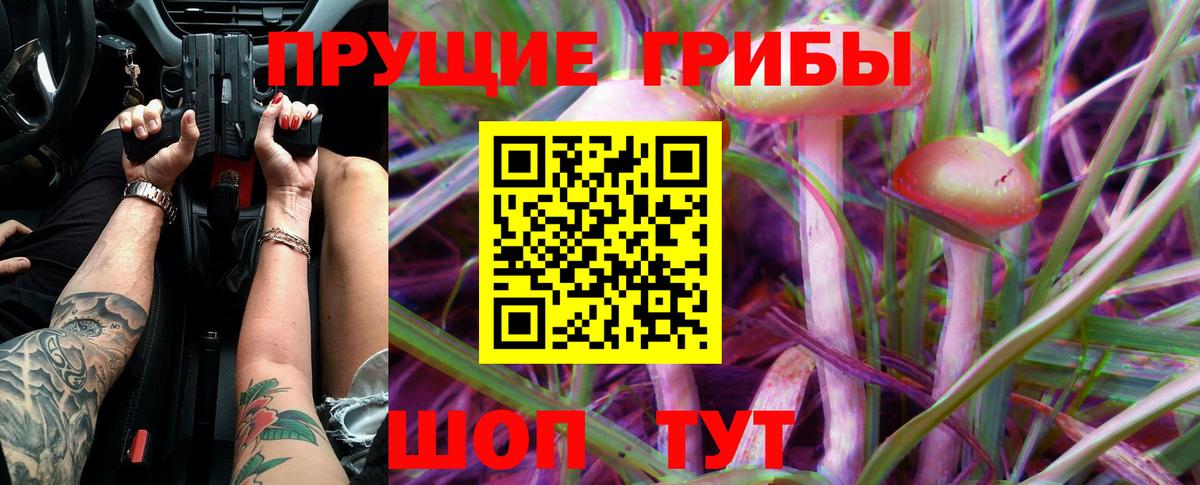 Златоуст  дарнет шоп  Вход с VPN  Галлюциногенные грибы Psilocybe 