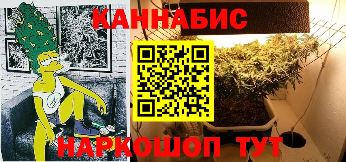 Златоуст  Бошки Шишки Amnesia  Бошки марихуана THC 21%  Конопля планчик  Бошки Шишки марихуана  Вход с VPN 